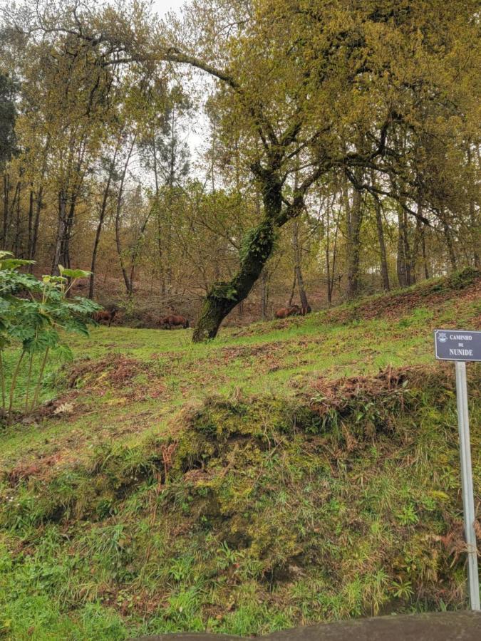 Quinta Da Picouta Βίλα Arcos de Valdevez Εξωτερικό φωτογραφία
