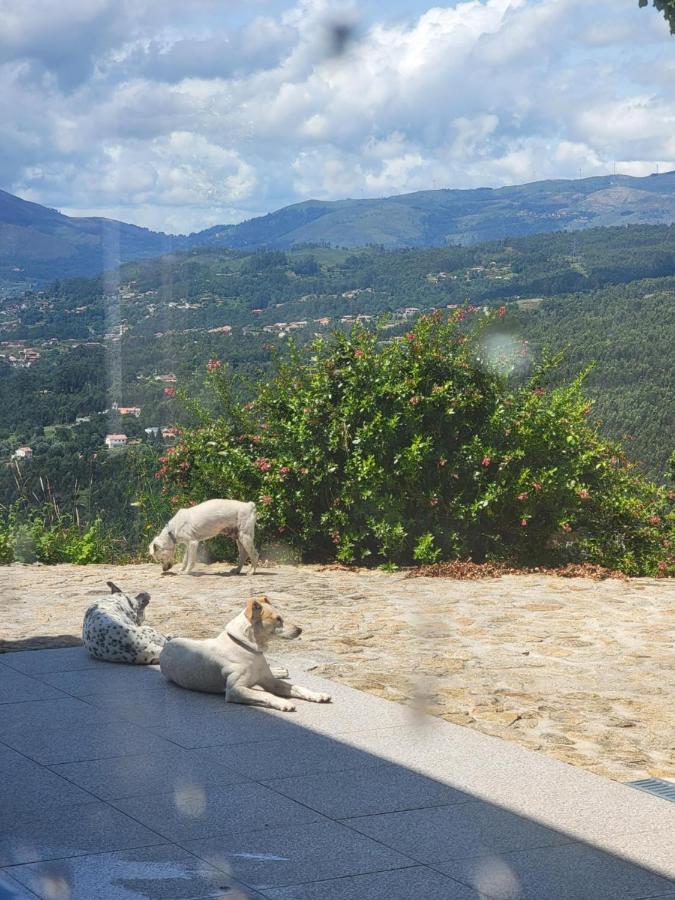 Quinta Da Picouta Βίλα Arcos de Valdevez Εξωτερικό φωτογραφία