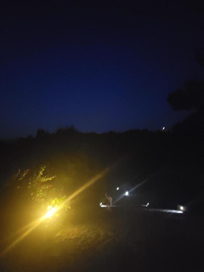 Quinta Da Picouta Βίλα Arcos de Valdevez Εξωτερικό φωτογραφία