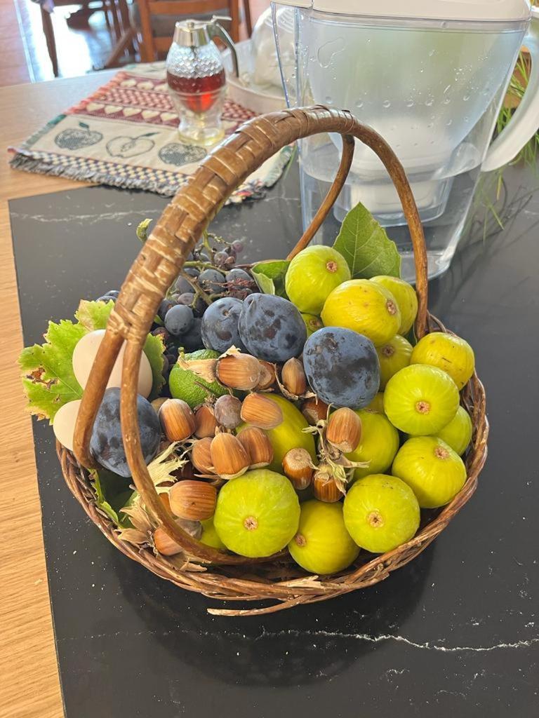 Quinta Da Picouta Βίλα Arcos de Valdevez Εξωτερικό φωτογραφία